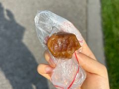 -得月楼·省级非遗·传统苏帮菜(观前店)