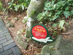 -呀诺达热带雨林