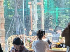 -上海野生动物园老虎餐厅