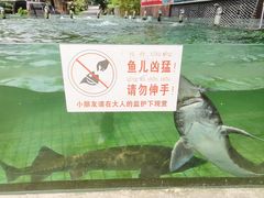-天怡·鱼工厂(梅溪湖店)