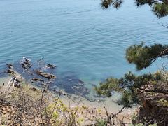 -棒棰岛宾馆景区