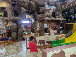 -卡通尼·Safari非洲探索乐园·生日会(金桥国际商业广场店)