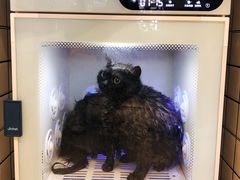 -熊小胖宠物生活馆(天华园店)