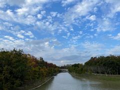 -上海海湾国家森林公园