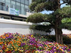 -亭下湖饭店(康岭店)