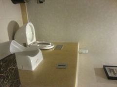 android_upload_pic-双子楼大酒店(城开国际写字楼店)