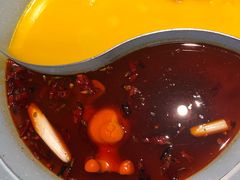 -青瓷火锅料理(西单大悦城店)
