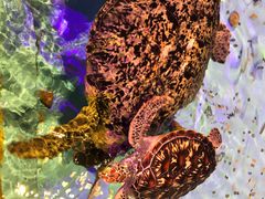 -波塞冬旅游度假区