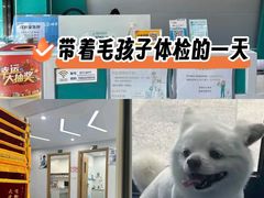 -博特宠物医院24h犬猫全科.骨科·异宠