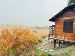-良渚古城遗址公园