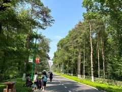 -黑龙江省森林植物园