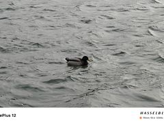 -北海公园