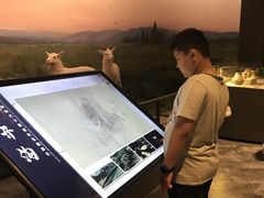 -鄂尔多斯青铜器博物馆
