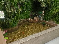 -松坂屋日料自助(长城路店)