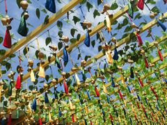 -三亚南山文化旅游区