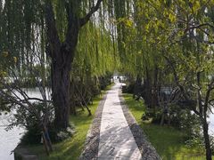-无锡蠡湖国家湿地公园-蠡园