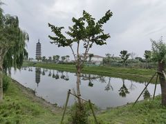 -奉贤海滩