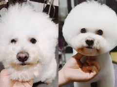 -Oh My Dog宠物沙龙(伊珊娜皮毛护理店)