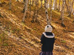 -塞罕坝国家级自然保护区