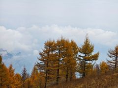 -驼梁风景区