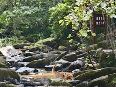 -茅兰沟国家森林公园