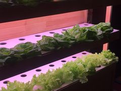 -满堂欢豆捞坊(美丽华大酒店店)
