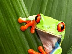 android_upload_pic-横沥牛庄(总店)