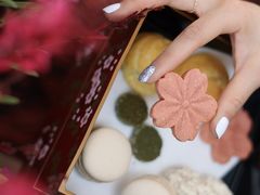 -Hatsune隐泉日式料理(三里屯太古里店)