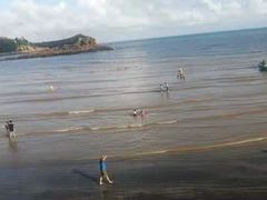 -胜海大排档·海鲜·黄鳝饭(十年老店)