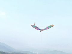 -龙坞茶村