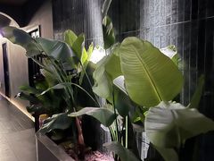 -涟LIAN·泰式按摩·MASSAGE·SPA(华强北店)