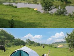 -迪卡侬(西华店)