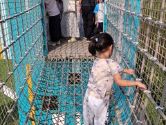 -季高兔窝窝亲子园(上海薰衣草公园店)