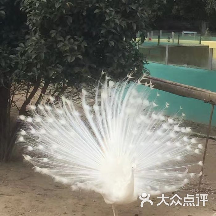 珍珠泉野生动物生态园