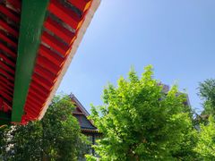 -四川大学(华西校区)