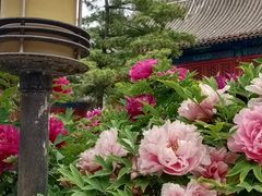 -大钟寺古钟博物馆