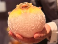 -永安鱼庄·镇江菜(东吴路店)