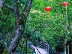 -刘伯温故里景区百丈漈