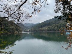 -江西阳明山国家森林公园