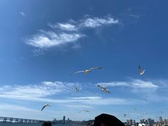 -星海广场