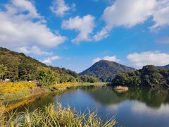 -广州市石门国家森林公园