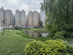-花果园湿地公园