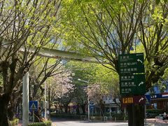 -卤好·黑金卤味饭(华侨城店)