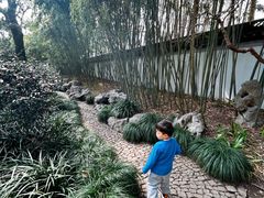 -秋霞圃