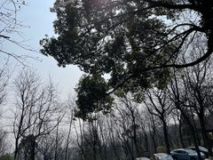 -岳麓山风景名胜区