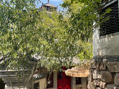 -老张烤羊(王哥庄店)