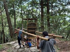 -天目山大树王景区