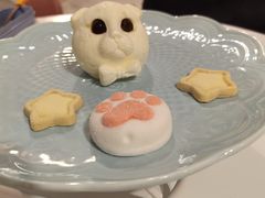 -三花喵·撸猫购宠·宠物生活馆(虹桥南丰城店)