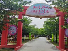 -金卉庄园