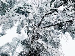 -花水湾第一村温泉大酒店